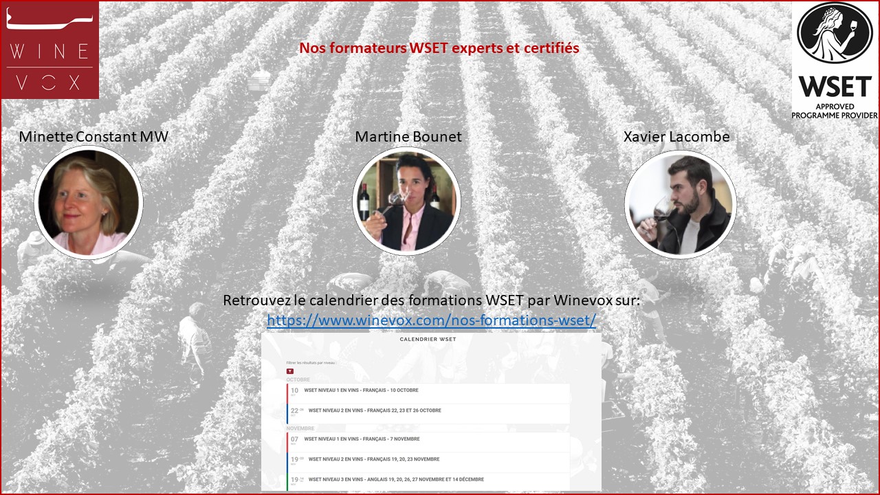 You are currently viewing Winevox renforce son équipe de formateurs WSET