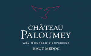 chateau paloumey