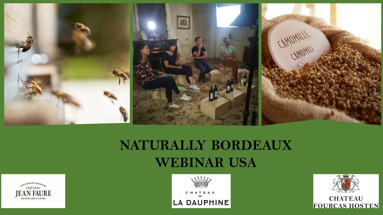 Lire la suite à propos de l’article Naturally Bordeaux Webinar USA