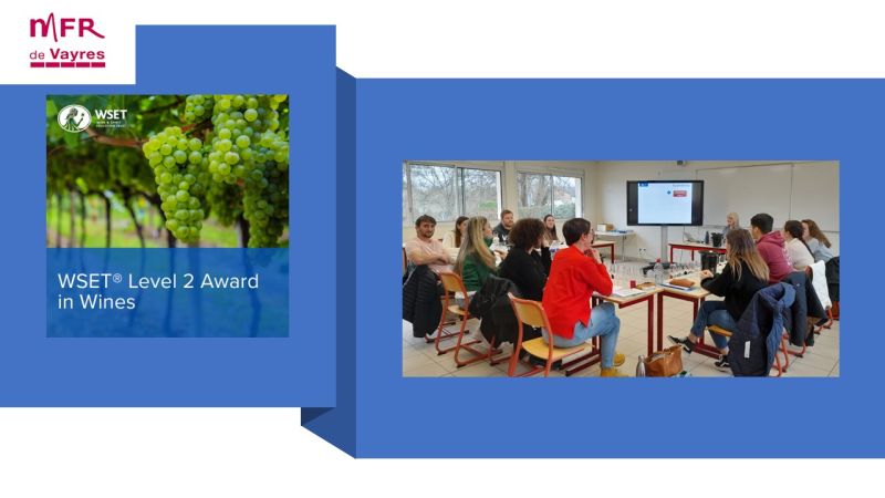 Lire la suite à propos de l’article Fromation WSET 2 pour les étudiants du MFR de Vayres